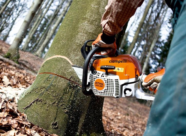 Motosega STIHL MS 391 